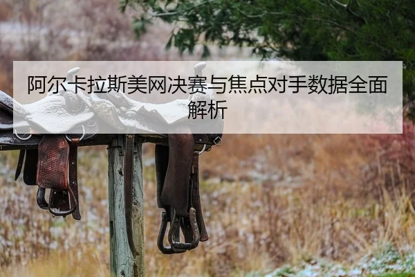 阿尔卡拉斯美网决赛与焦点对手数据全面解析